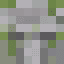 Minecraft skin hráče tun