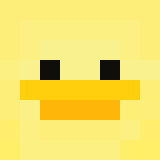 Minecraft skin hráče xroky